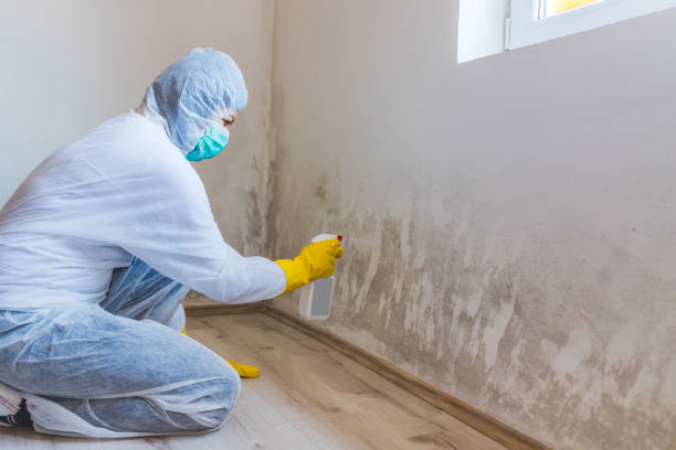 Licensed Mold Testing service in West Orange, NJ - WQB Mold Removal