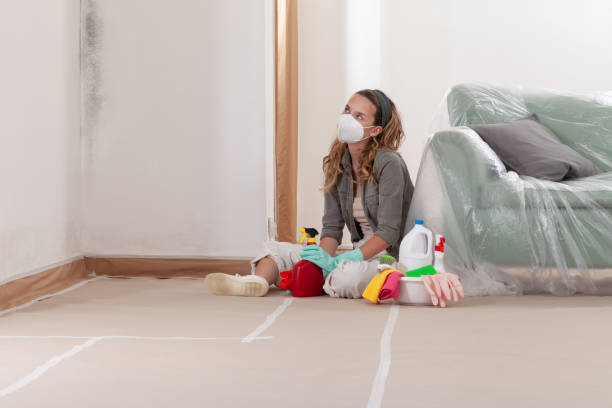 Reliable Mold Testing contractor in West Orange, NJ by WQB Mold Removal